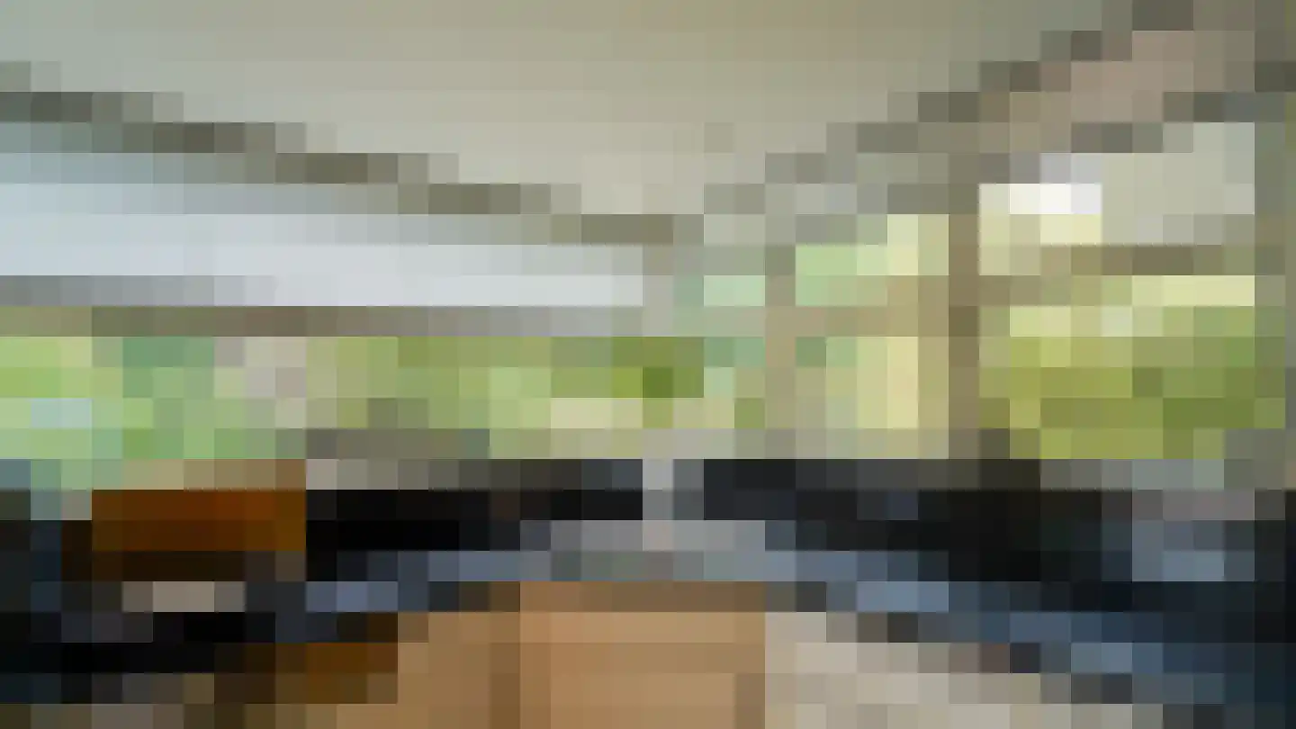 de Renne 9 Helmond thumbnail 32