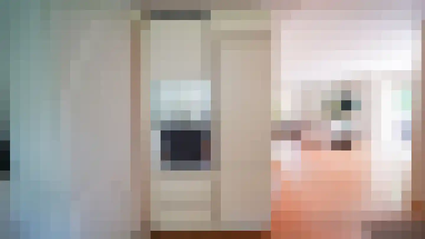 de Renne 9 Helmond thumbnail 33