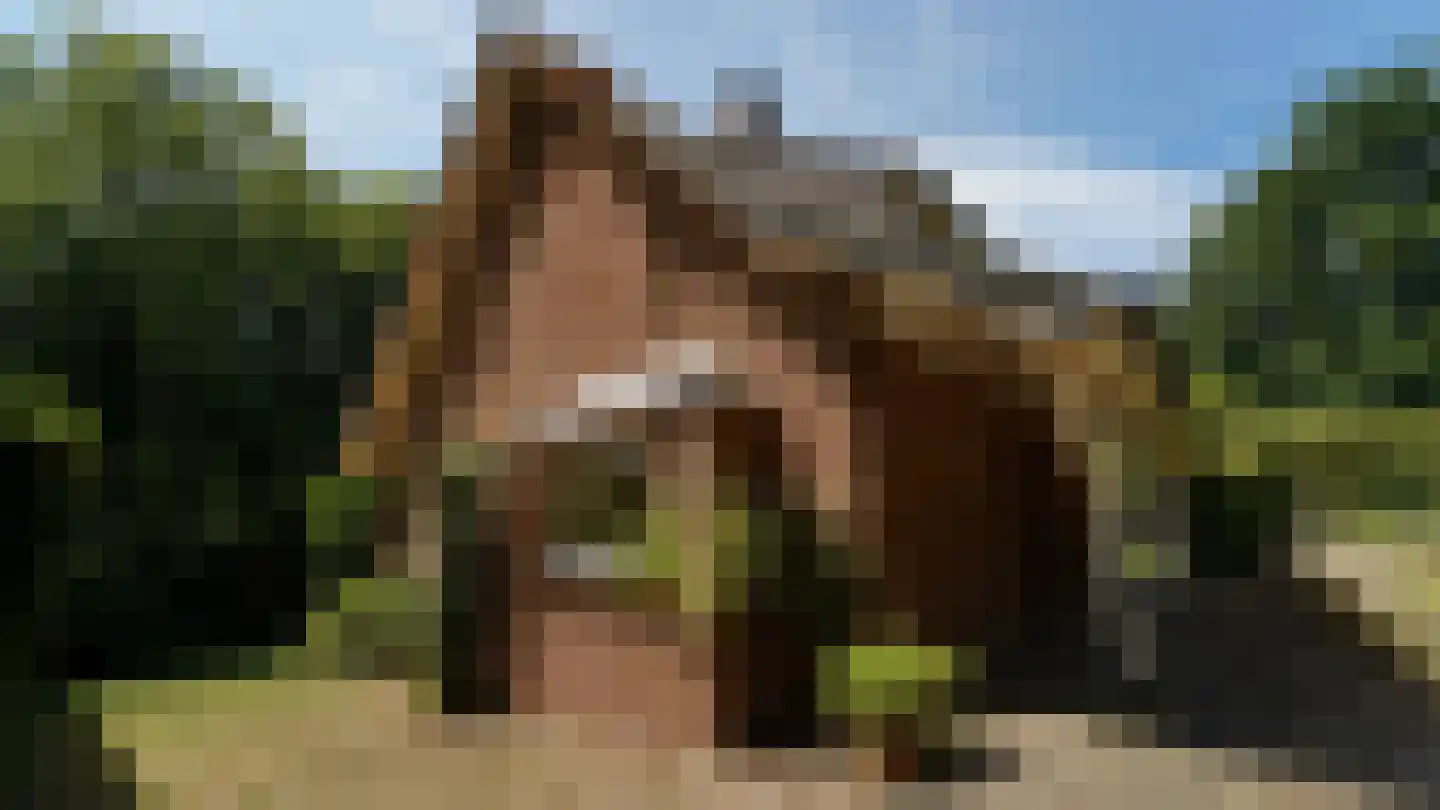 de Renne 9 Helmond thumbnail 4
