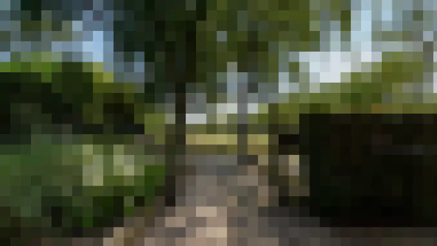 de Renne 9 Helmond thumbnail 6
