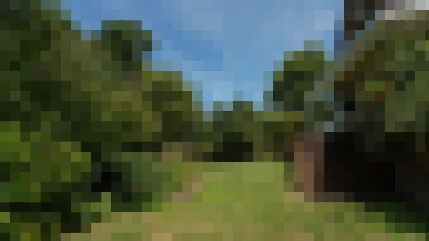 de Renne 9 Helmond thumbnail 7