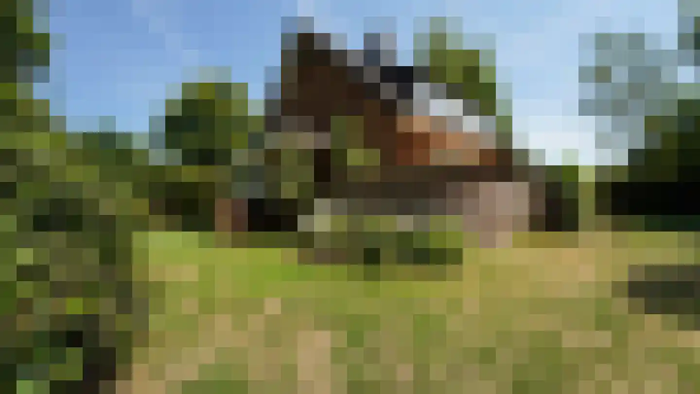 de Renne 9 Helmond thumbnail 8