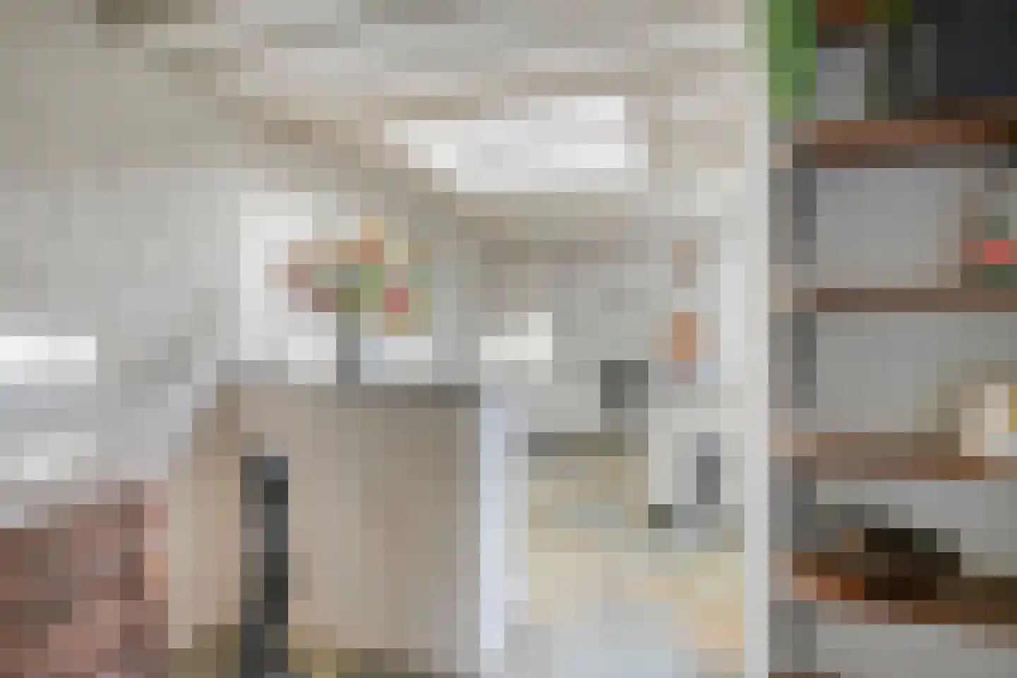 de Rentmeester 9 Oirschot thumbnail 16