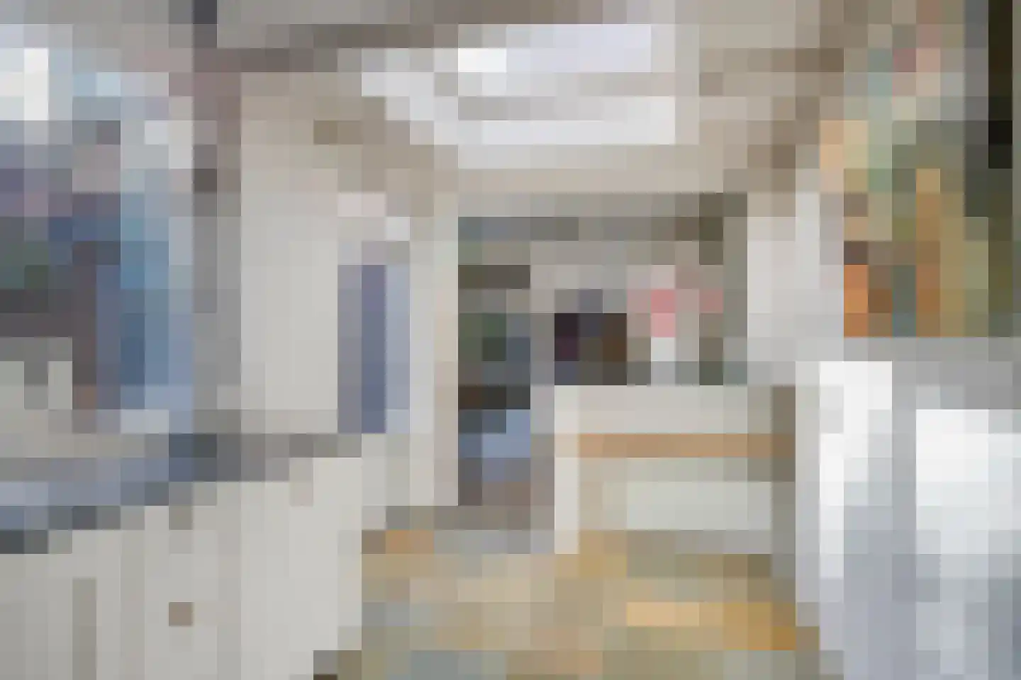 de Rentmeester 9 Oirschot thumbnail 18