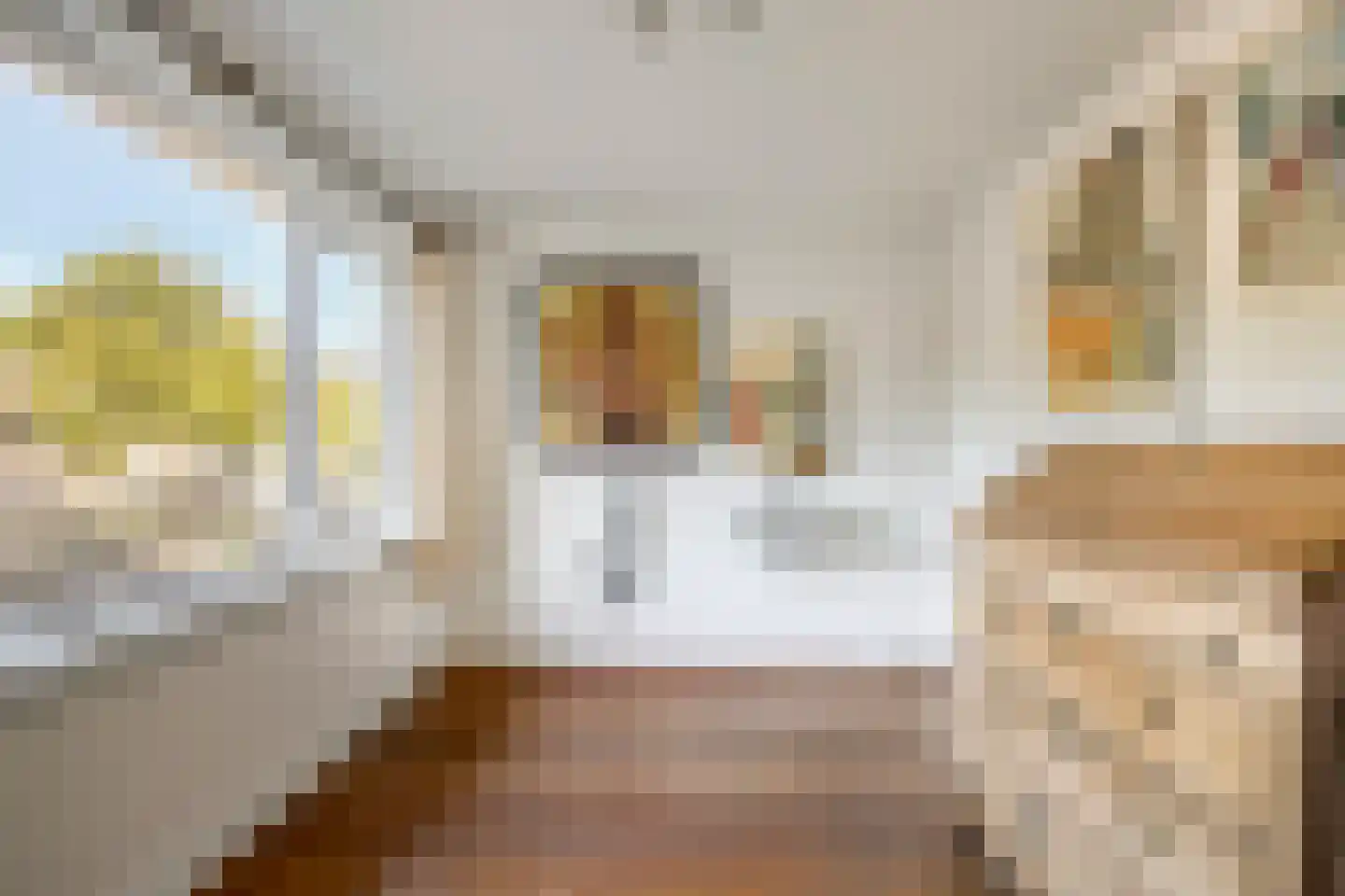 de Rentmeester 9 Oirschot thumbnail 26