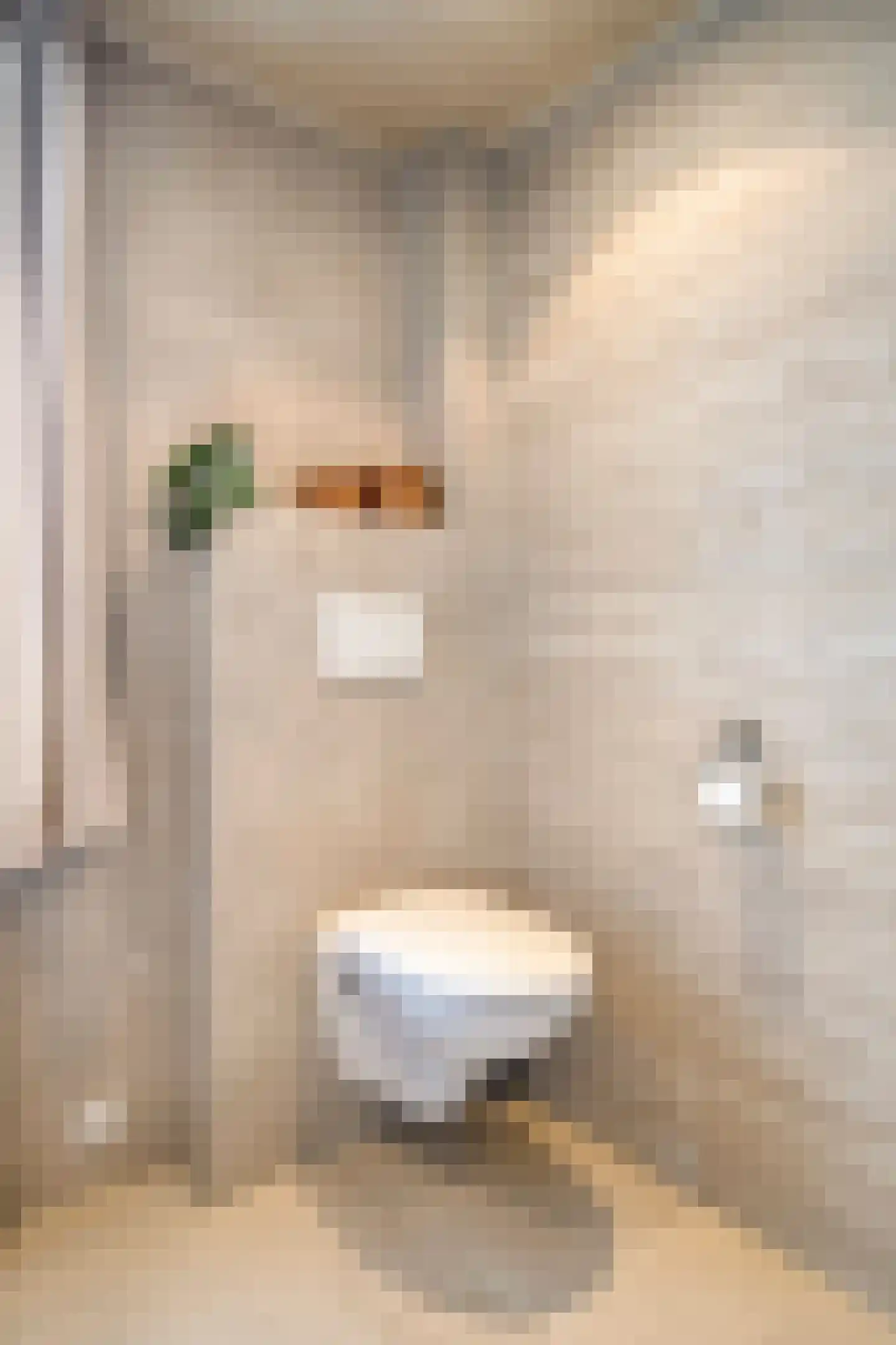 de Rentmeester 9 Oirschot thumbnail 30