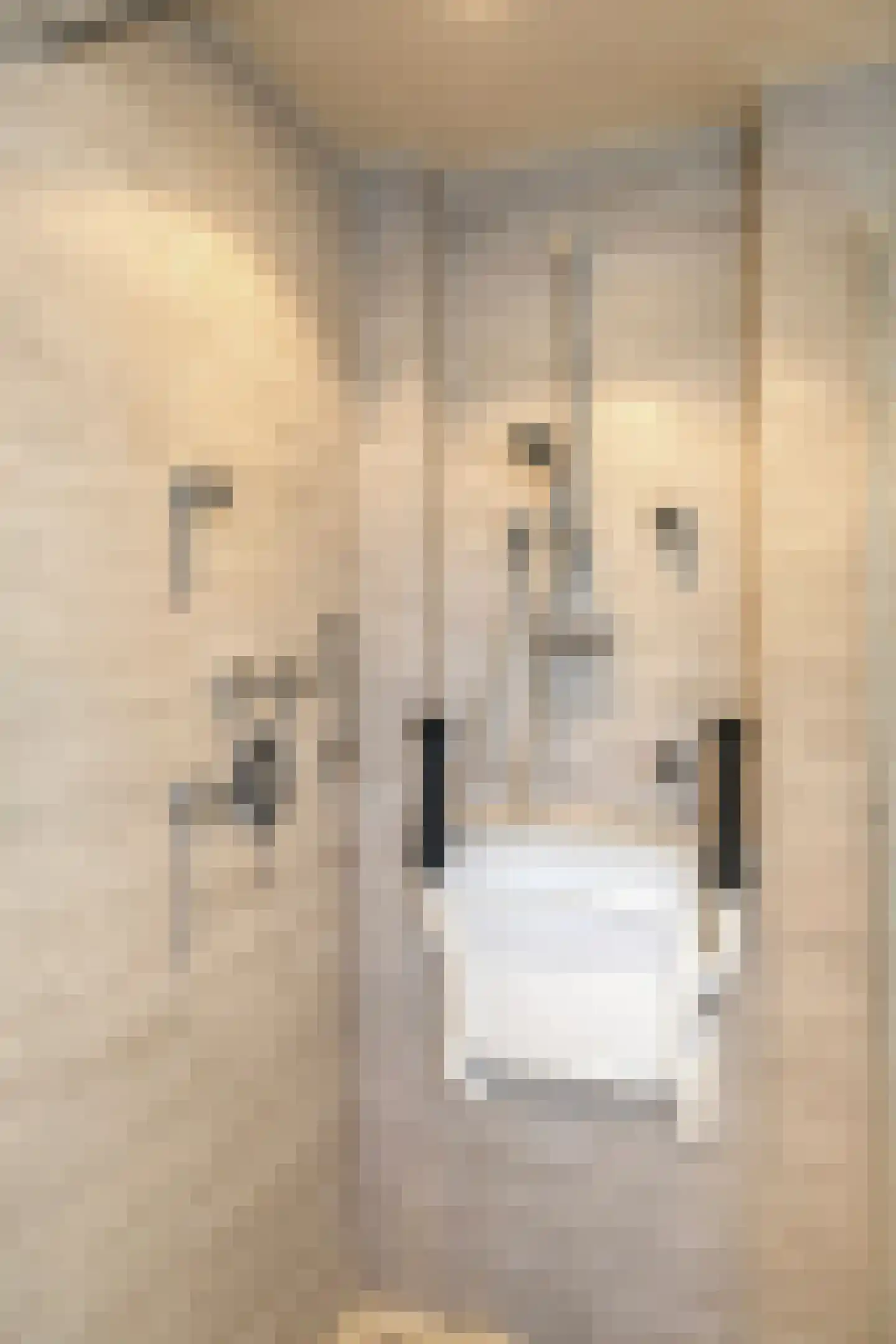 de Rentmeester 9 Oirschot thumbnail 31