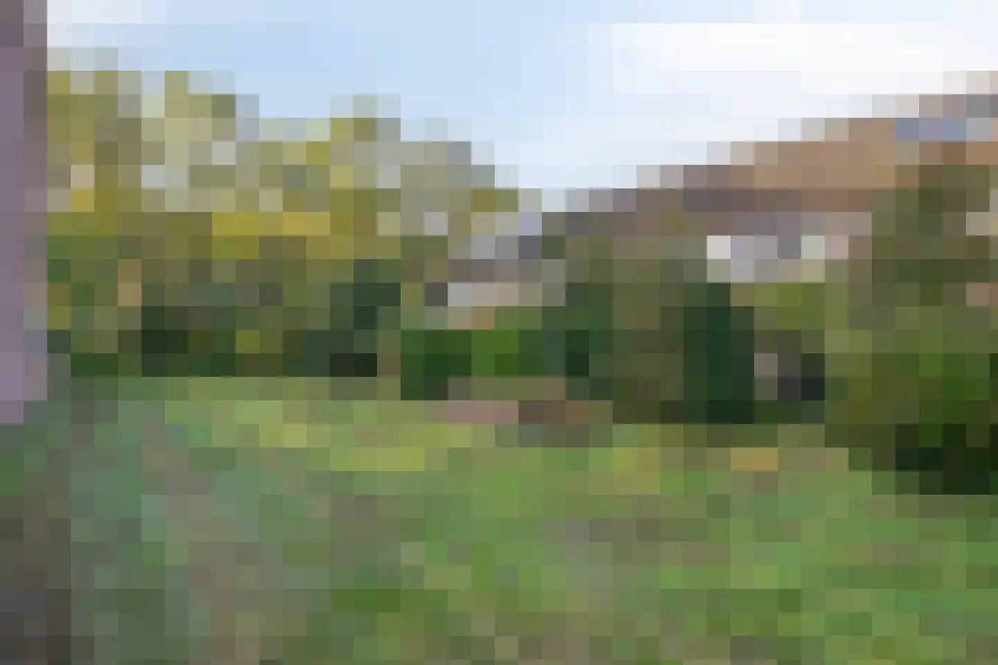 de Rentmeester 9 Oirschot thumbnail 38