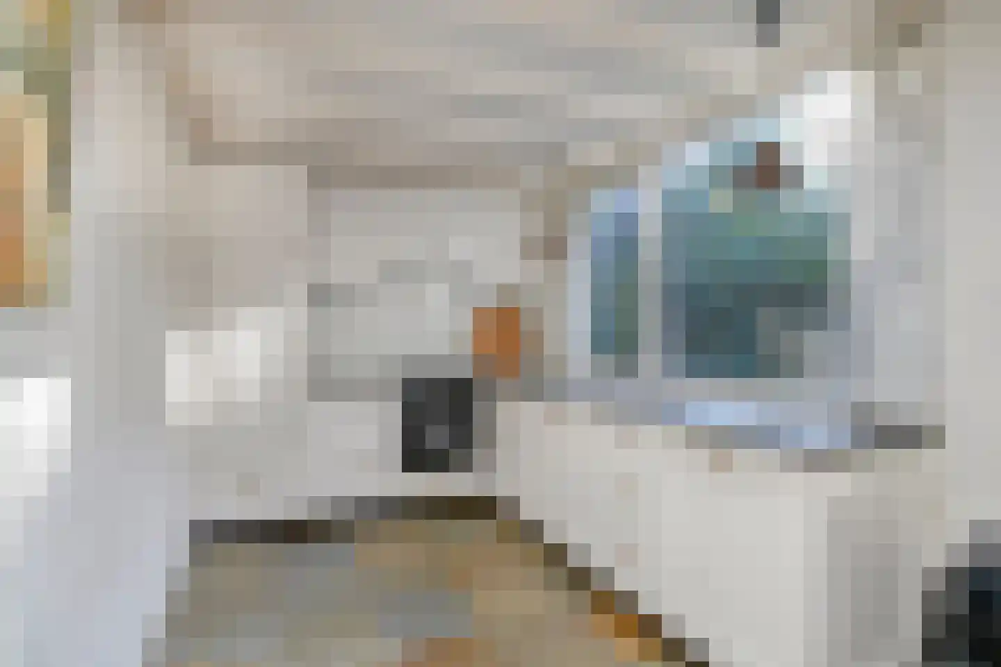 de Rentmeester 9 Oirschot thumbnail 4