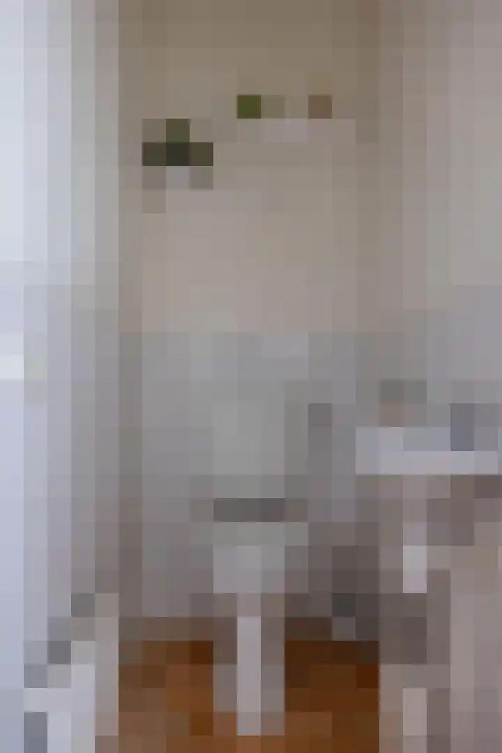 De Resken 4 Twijzelerheide thumbnail 13