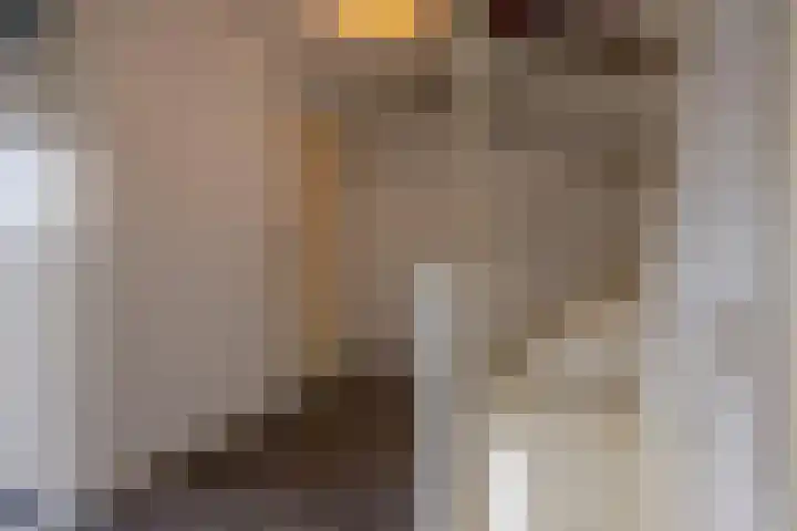 De Resken 4 Twijzelerheide thumbnail 15