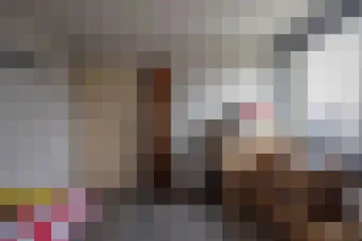 De Resken 4 Twijzelerheide thumbnail 23