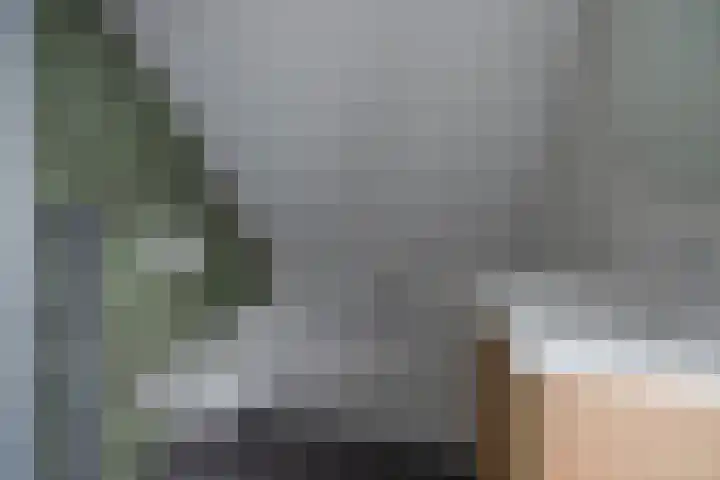 De Resken 4 Twijzelerheide thumbnail 24