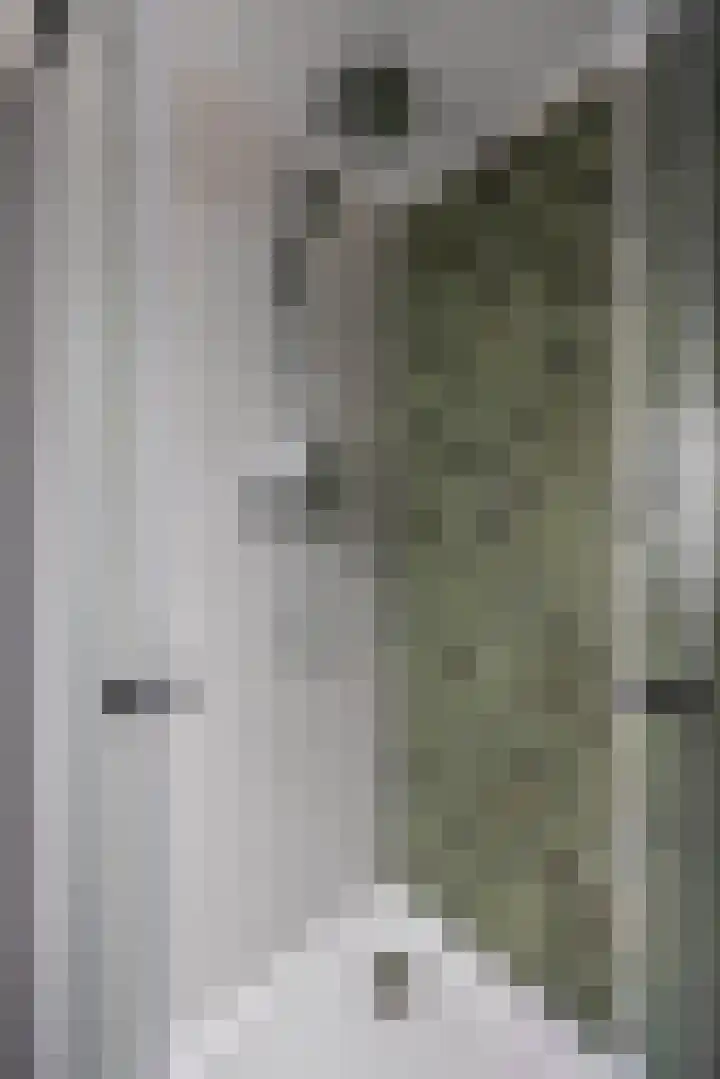 De Resken 4 Twijzelerheide thumbnail 25