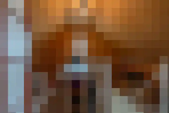 De Resken 4 Twijzelerheide thumbnail 27