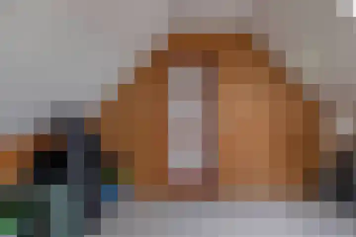 De Resken 4 Twijzelerheide thumbnail 29