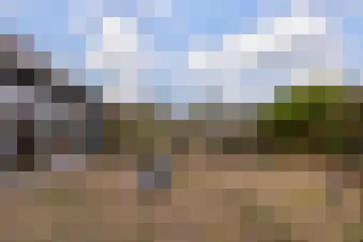 De Resken 4 Twijzelerheide thumbnail 31