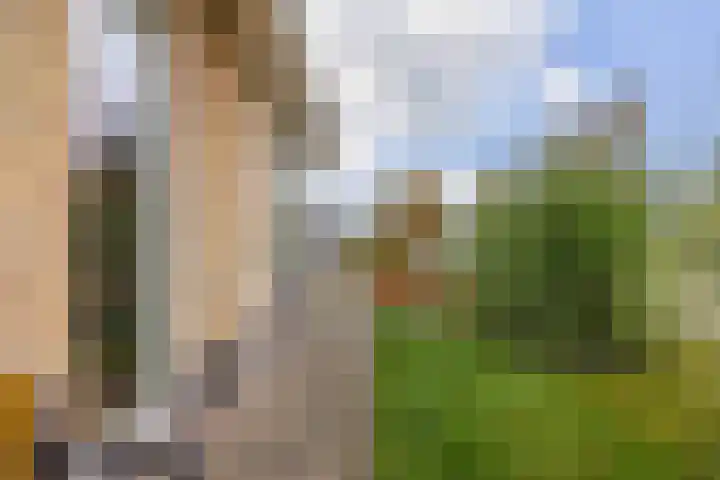 De Resken 4 Twijzelerheide thumbnail 35