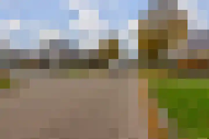 De Resken 4 Twijzelerheide thumbnail 41