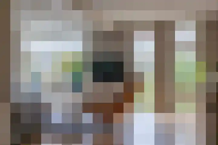 De Resken 4 Twijzelerheide thumbnail 7