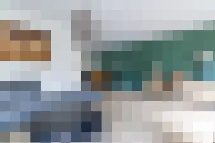 De Resken 6 Twijzelerheide thumbnail 15