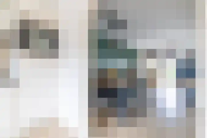De Resken 6 Twijzelerheide thumbnail 17