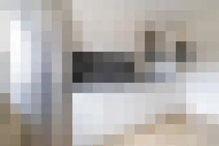 De Resken 6 Twijzelerheide thumbnail 19