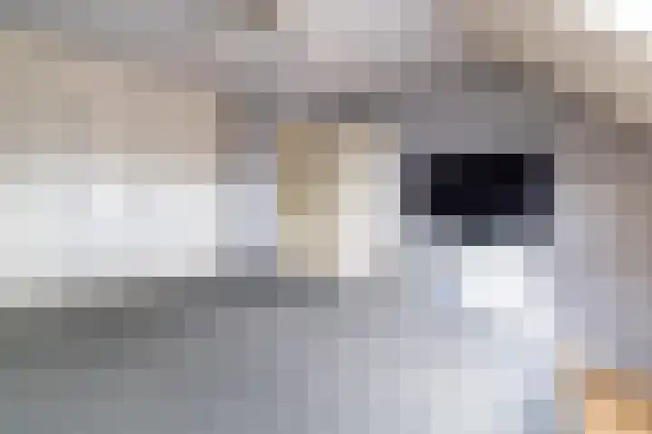 De Resken 6 Twijzelerheide thumbnail 25