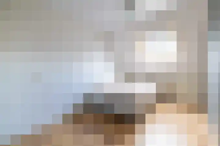 De Resken 6 Twijzelerheide thumbnail 26