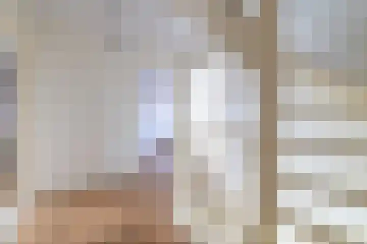 De Resken 6 Twijzelerheide thumbnail 35