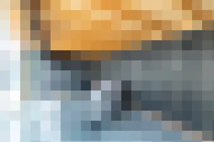 De Resken 6 Twijzelerheide thumbnail 43