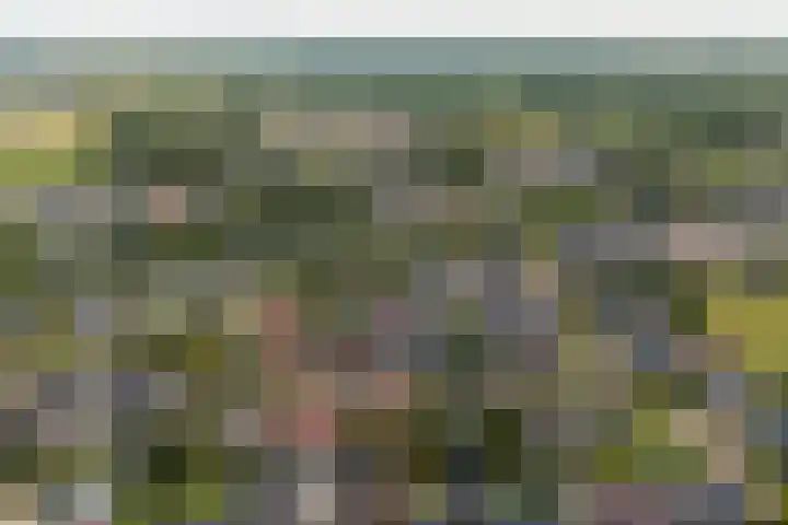 De Resken 6 Twijzelerheide thumbnail 46
