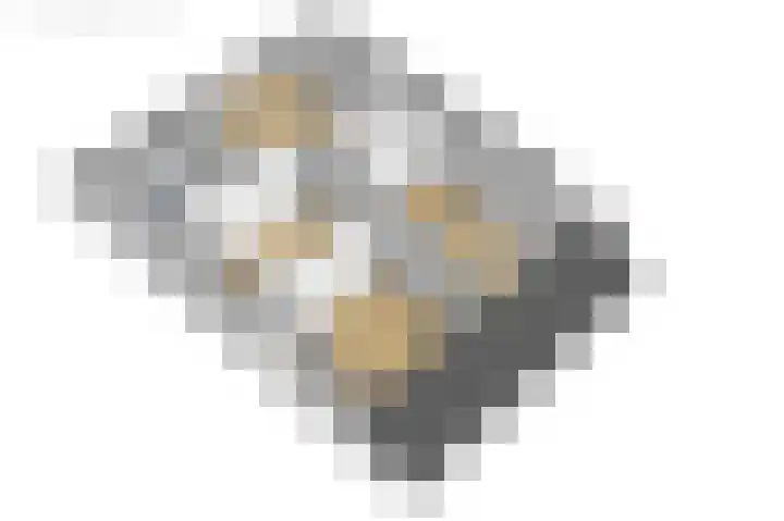 De Resken 6 Twijzelerheide thumbnail 57