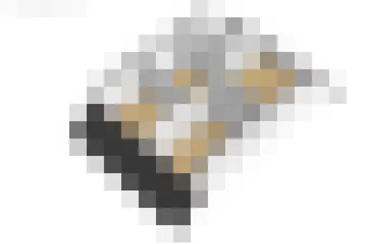 De Resken 6 Twijzelerheide thumbnail 58