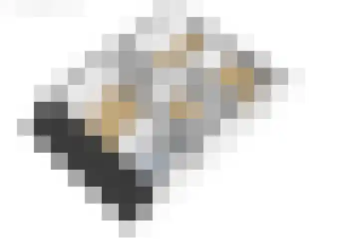 De Resken 6 Twijzelerheide thumbnail 60