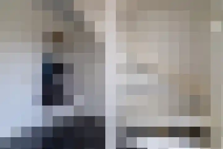 De Resken 6 Twijzelerheide thumbnail 9