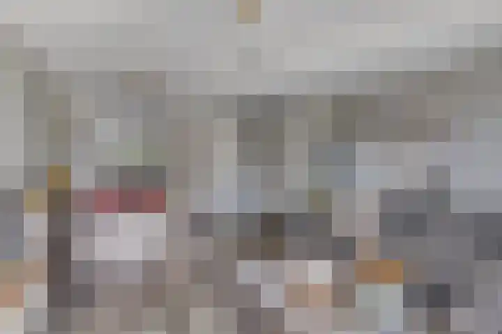 De Reumer 17 Soerendonk thumbnail 10