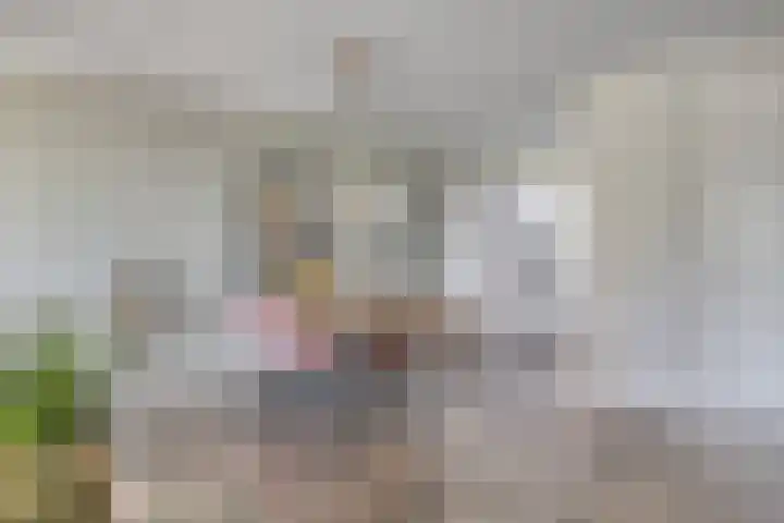 De Reumer 17 Soerendonk thumbnail 11