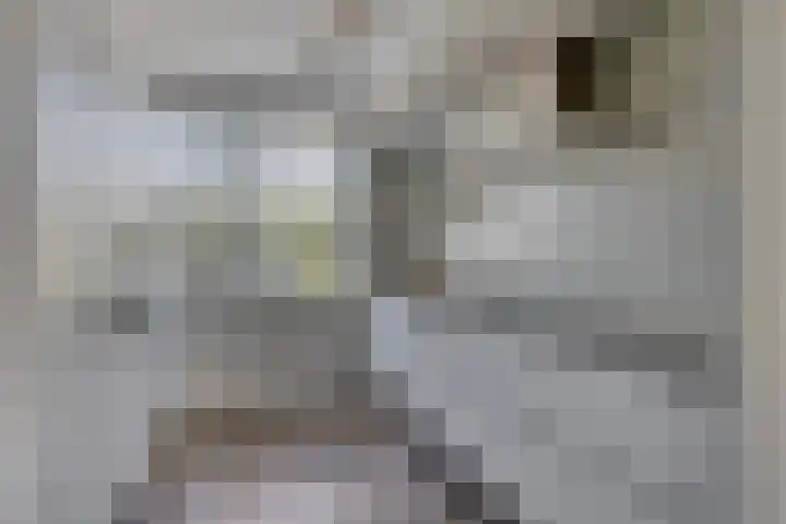 De Reumer 17 Soerendonk thumbnail 13