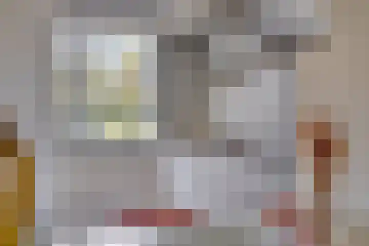 De Reumer 17 Soerendonk thumbnail 15