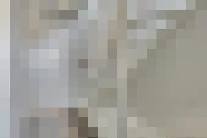 De Reumer 17 Soerendonk thumbnail 17