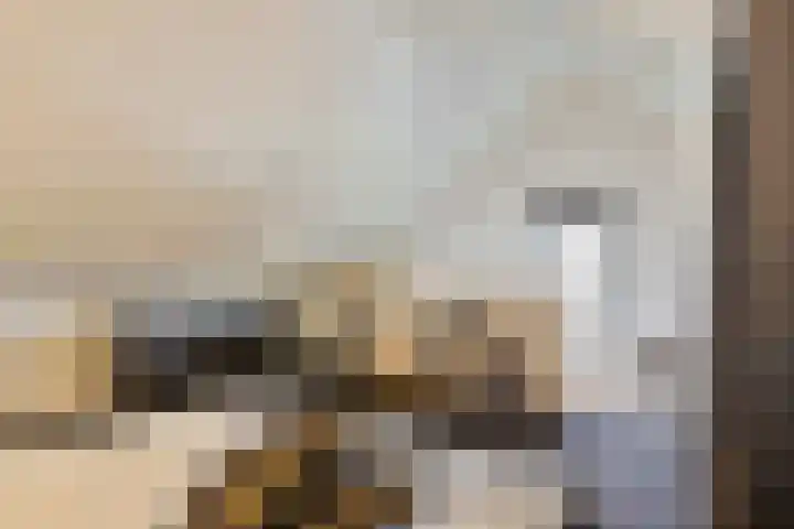 De Reumer 17 Soerendonk thumbnail 26