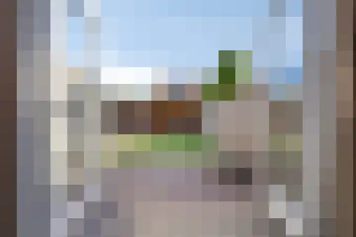 De Reumer 17 Soerendonk thumbnail 27