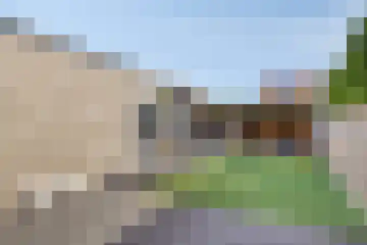 De Reumer 17 Soerendonk thumbnail 28