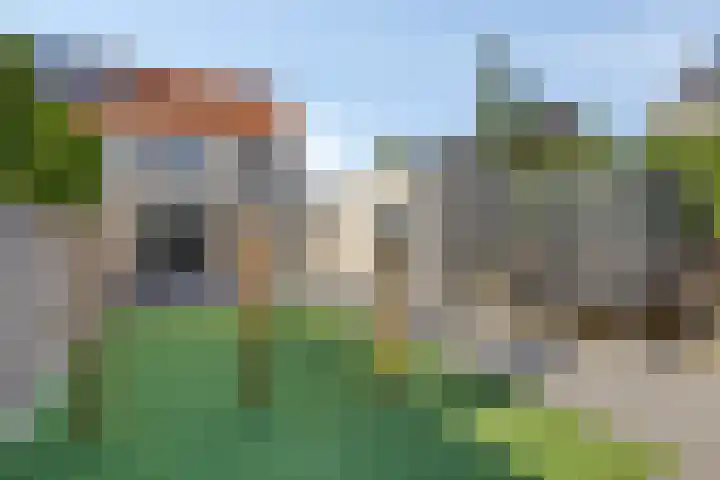 De Reumer 17 Soerendonk thumbnail 30