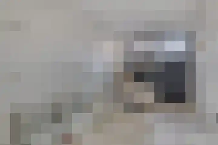 De Reumer 17 Soerendonk thumbnail 32