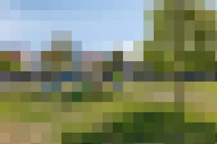 De Reumer 17 Soerendonk thumbnail 34