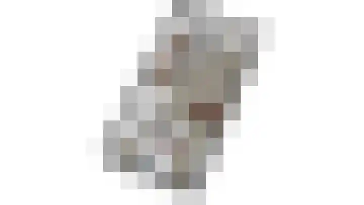 De Reumer 17 Soerendonk thumbnail 37