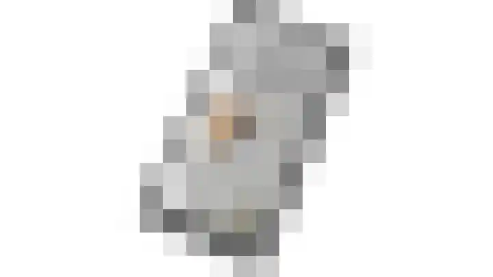 De Reumer 17 Soerendonk thumbnail 45