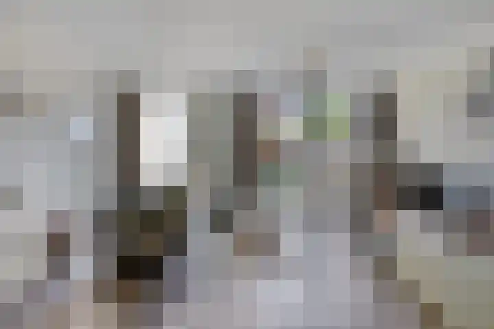 De Reumer 17 Soerendonk thumbnail 8